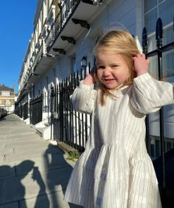 Poppet & Fox Drop Waist Shift Dress