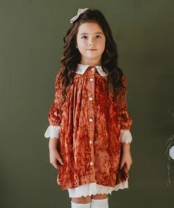 Ren & Rouge Rust Velvet Dress