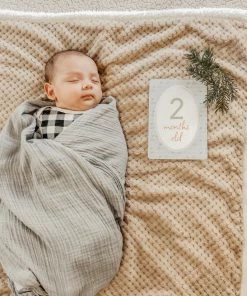 Gift Ideas Itzy Ritzy Milestone Cards