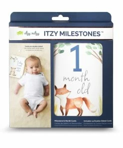 Gift Ideas Itzy Ritzy Milestone Cards