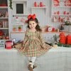 Swoon Baby Falliday Gingham Dainty Picot Dress Girls