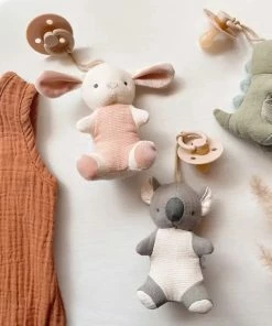 Itzy Ritzy Bitzy Pal Natural Rubber Pacifer & Animal