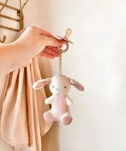 Itzy Ritzy Bitzy Pal Natural Rubber Pacifer & Animal