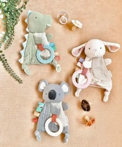 Boys Itzy Ritzy Sensory Toy Teether